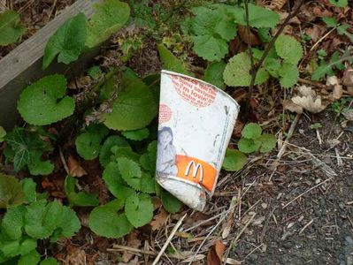Litter